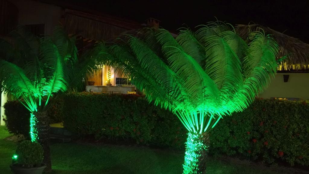 Casa Jangada Lägenhet Cumbuco Exteriör bild